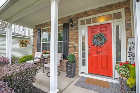 Photo of 329 Patrick Drive, Columbia, SC 29223 (MLS # 626797)