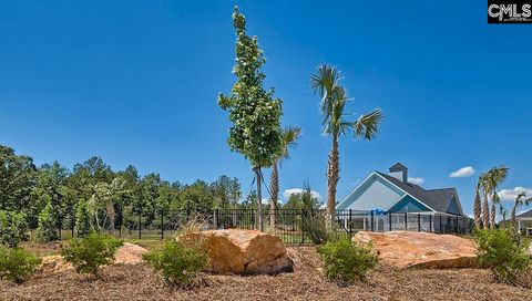 A home in Chapin