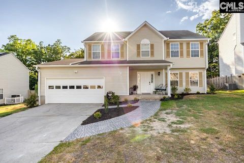 Photo of 280 Walkbridge Way, Chapin, SC 29036 (MLS # 632678)