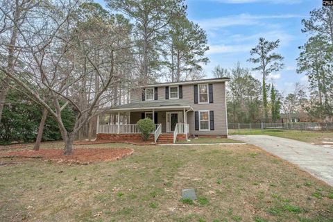 Photo of 208 Delchester Drive, Elgin, SC 29045 (MLS # 629255)
