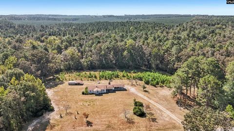 Photo of 7166 Wagener Road, Wagener, SC 29164 (MLS # 617914)