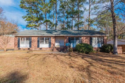 Photo of 2135 Rolling Hills Road, Columbia, SC 29210 (MLS # 623132)