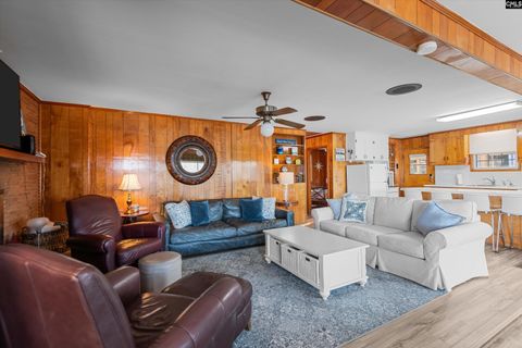 A home in Chapin