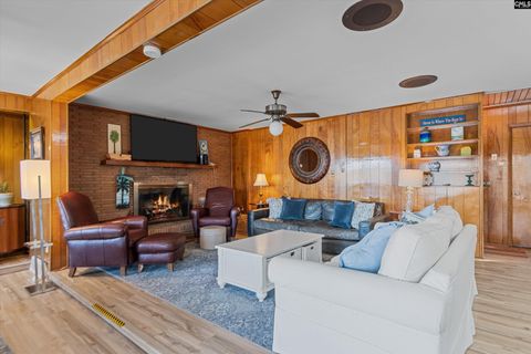 A home in Chapin