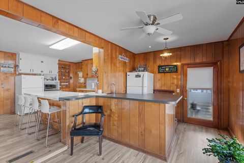 A home in Chapin