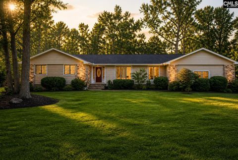 Photo of 550 Old Shoals Road, Monetta, SC 29125 (MLS # 624783)
