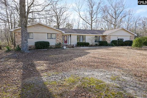 Photo of 550 Old Shoals Road, Monetta, SC 29125 (MLS # 624783)