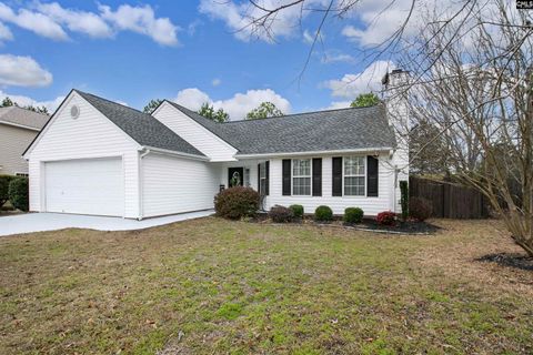 Photo of 48 Smokewood Drive, Elgin, SC 29045 (MLS # 629483)