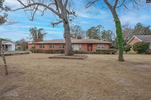 Photo of 215 Castle Drive, West Columbia, SC 29169 (MLS # 626091)