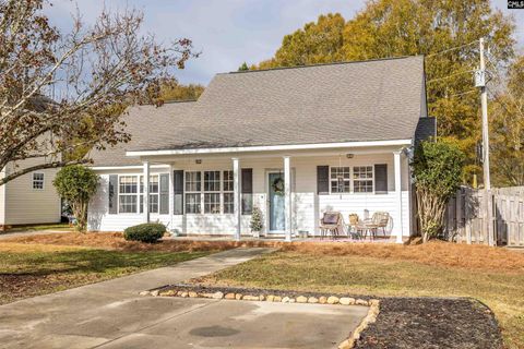 A home in Chapin