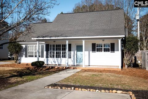 A home in Chapin