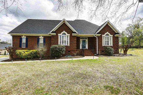 Photo of 229 Bent Oak Drive, Chapin, SC 29036 (MLS # 629267)