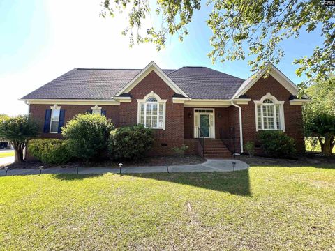 Photo of 229 Bent Oak Drive, Chapin, SC 29036 (MLS # 629267)