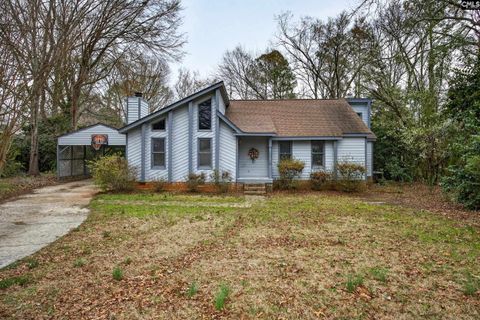 Photo of 119 Logan Rock Court, Irmo, SC 29063 (MLS # 627830)