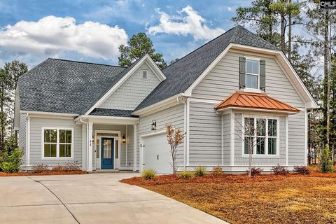 Photo of 816 Elms Spinney Lane, Chapin, SC 29036 (MLS # 630449)