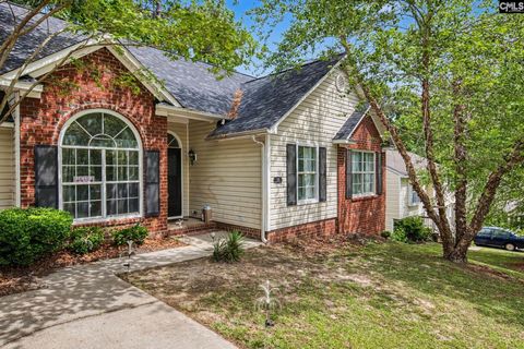 Photo of 18 Gowham Court, Irmo, SC 29063 (MLS # 634308)