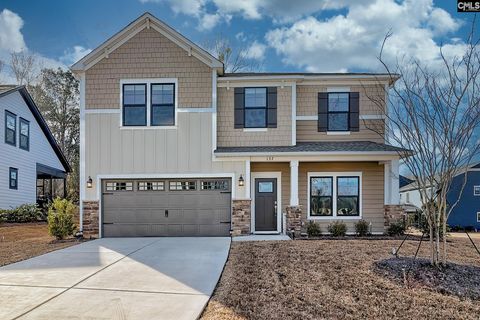 Photo of 157 Collins Cove Drive, Chapin, SC 29036 (MLS # 624505)