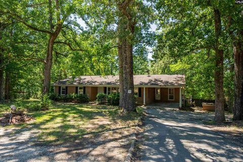 A home in Chapin