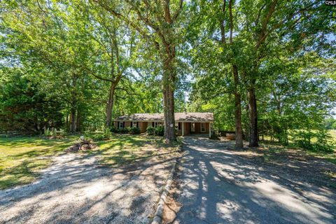 A home in Chapin