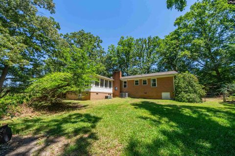 A home in Chapin