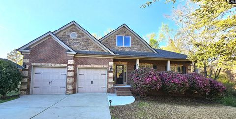 A home in Chapin