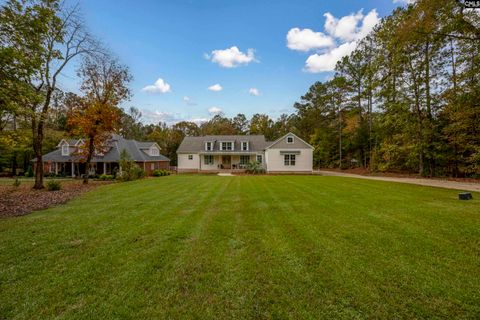 A home in Chapin