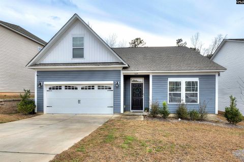 Photo of 165 Shady Spot Road, Lexington, SC 29072 (MLS # 624780)