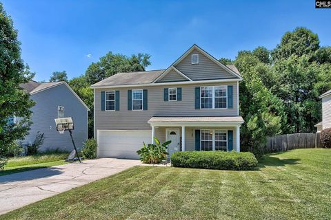 Photo of 113 Wingspan Way, Chapin, SC 29036 (MLS # 638894)