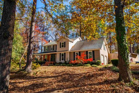 Photo of 1908 Hollingshed Road, Irmo, SC 29063 (MLS # 622782)