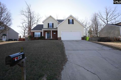 Photo of 309 Misty Glen Circle, Irmo, SC 29063 (MLS # 626078)