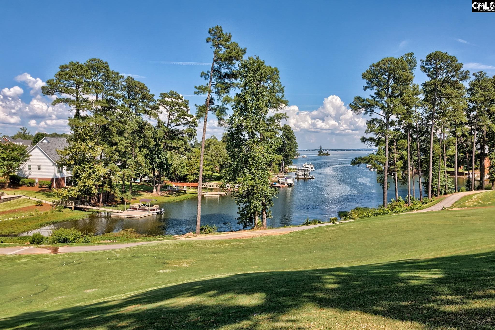 134 Fairway Ridge Drive, Chapin, SC, 29036