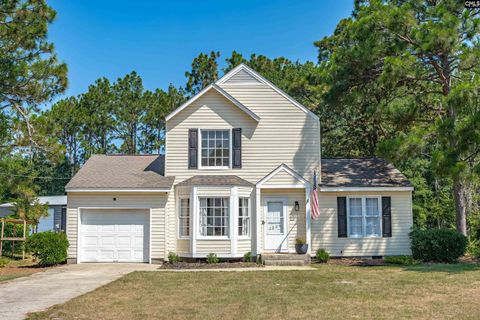 Single Family Residence in Lexington SC 1234 Nazareth Road.jpg