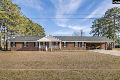 Photo of 993 Pickett Level Road, Elloree, SC 29047 (MLS # 631968)