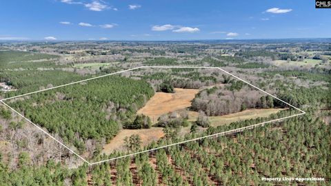 1693 Sumter School Road Ward Sc 29166