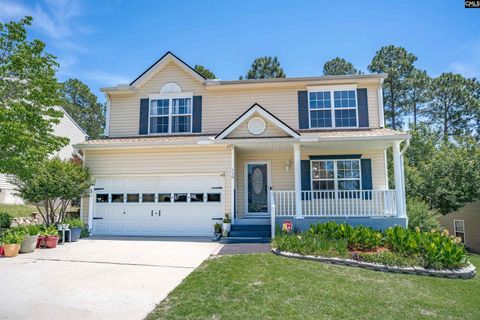Photo of 119 Silverberry Drive, Lexington, SC 29073 (MLS # 633365)