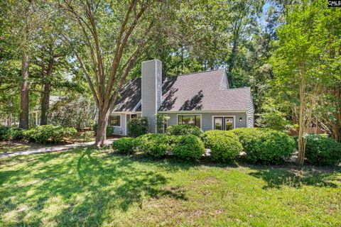 Photo of 1 Pioneers Point Court, Irmo, SC 29063 (MLS # 635880)