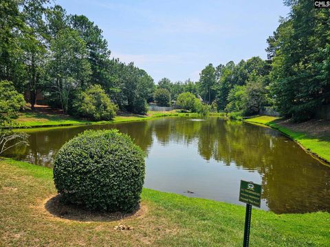 A home in Irmo