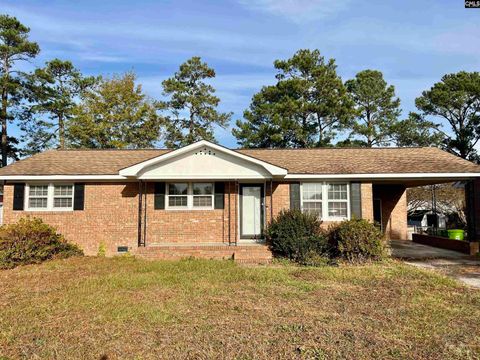 Photo of 1217 Faraway Drive, Columbia, SC 29223 (MLS # 622386)