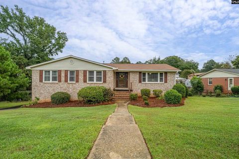 Photo of 916 Mohegan Trail, West Columbia, SC 29169 (MLS # 618609)