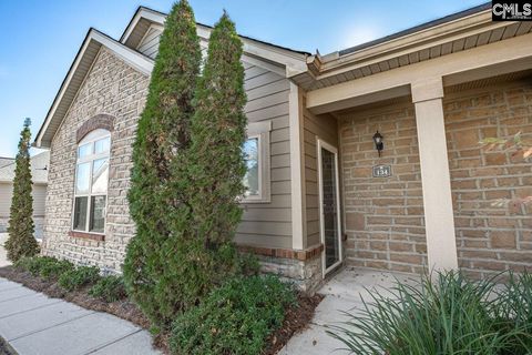 Photo of 134 Peach Grove Circle, Elgin, SC 29045 (MLS # 621527)