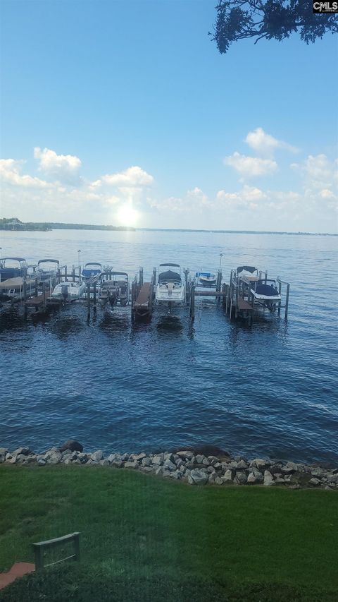 Photo of 1441 Old Chapin Road, Lexington, SC 29072 (MLS # 629203)