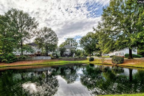 Photo of 1 Alverston Court, Irmo, SC 29063 (MLS # 619315)