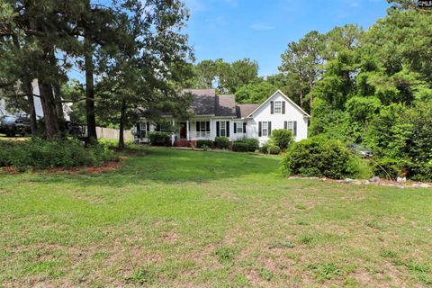 Photo of 46 Cobblestone Lane, Elgin, SC 29045 (MLS # 636527)