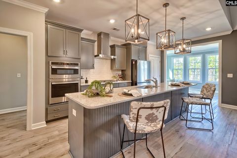 1420 Saugus Court Chapin Sc 29036