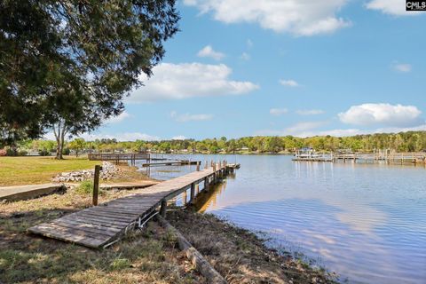 Photo of 262 Breezy Bay Drive, Gilbert, SC 29054 (MLS # 630717)