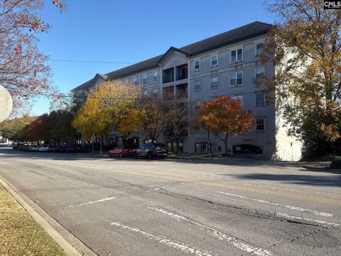 Photo of 2002 Greene Street #209, Columbia, SC 29205 (MLS # 621721)