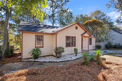 A home in West Columbia