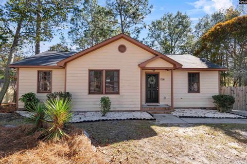 A home in West Columbia