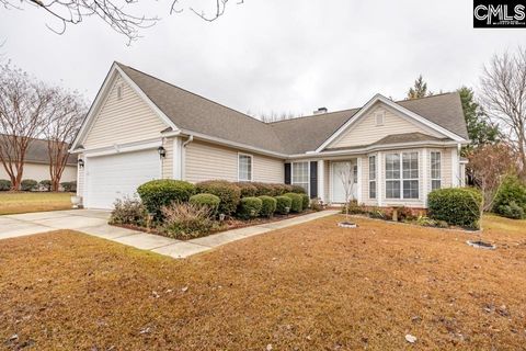 Photo of 209 Farmhouse Loop, Lexington, SC 29072 (MLS # 623032)