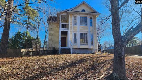 Photo of 116 Trent House Road, Irmo, SC 29063 (MLS # 623593)